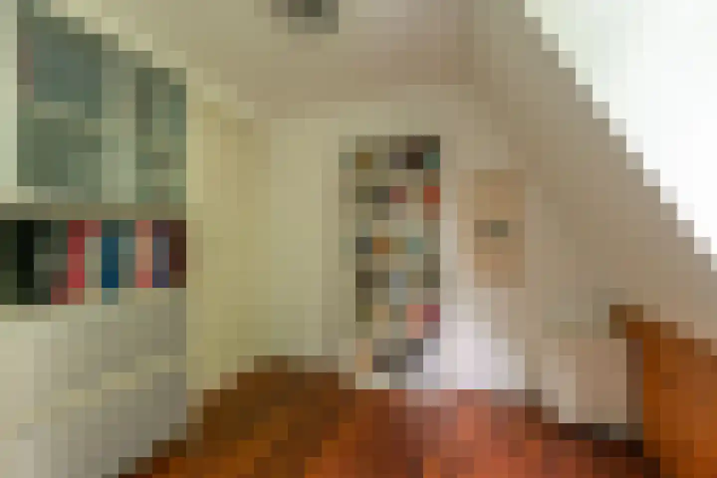 Oud Moleneind 15 Uden thumbnail 42