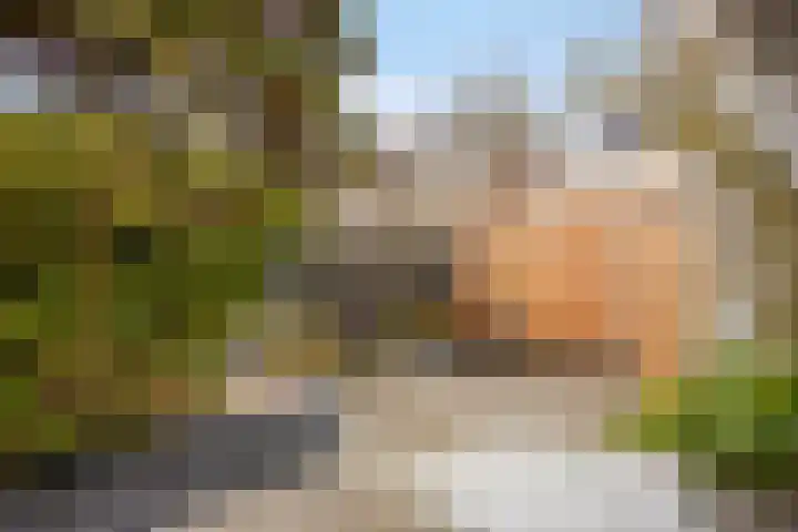 Oud Moleneind 15 Uden thumbnail 53