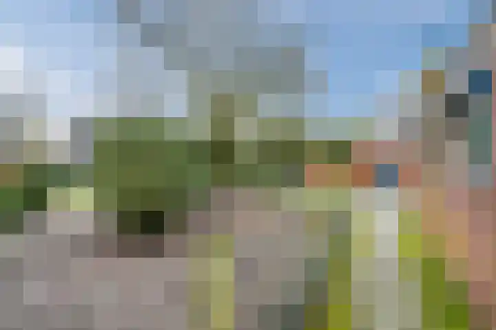 Oud Moleneind 15 Uden thumbnail 54