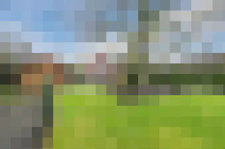 Oud Moleneind 15 Uden thumbnail 56