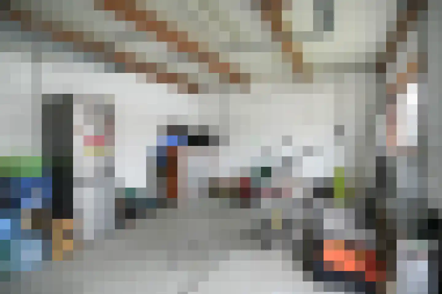 Oud Munsterstraat 9 Kerkdriel thumbnail 36