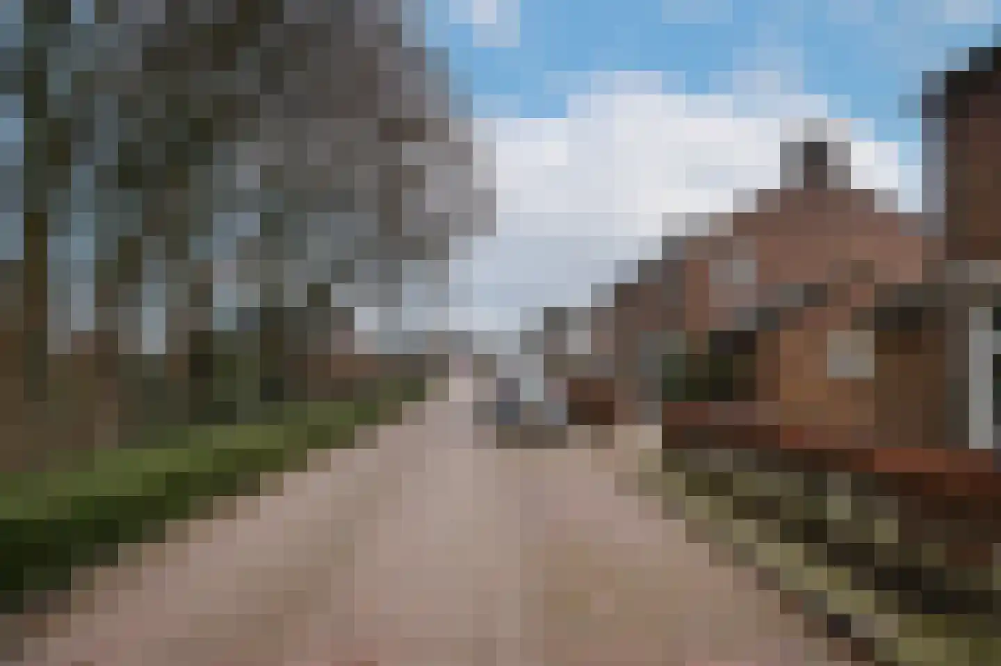 Oud Munsterstraat 9 Kerkdriel thumbnail 39