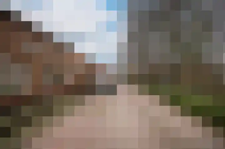 Oud Munsterstraat 9 Kerkdriel thumbnail 39