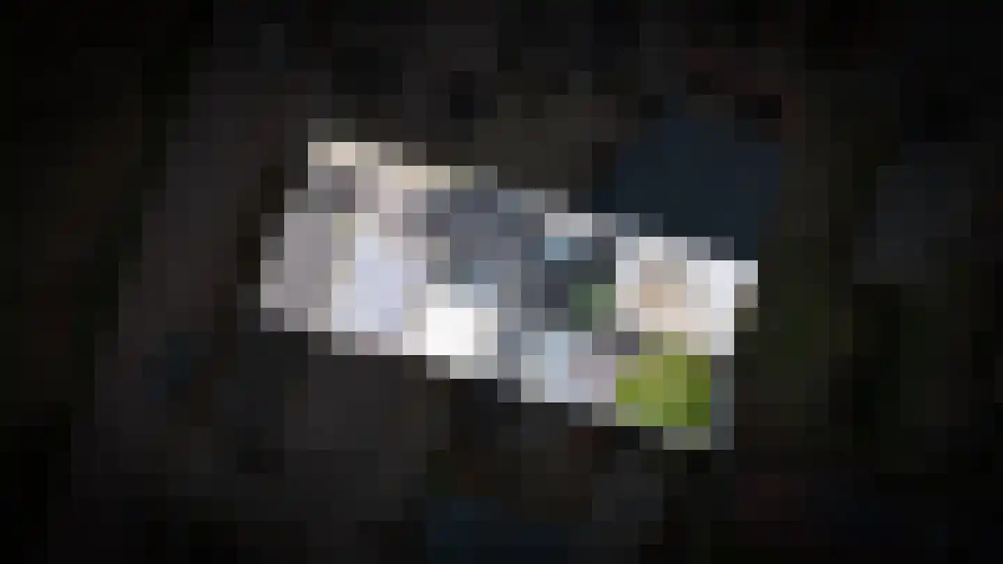 Oud Munsterstraat 9 Kerkdriel thumbnail 41