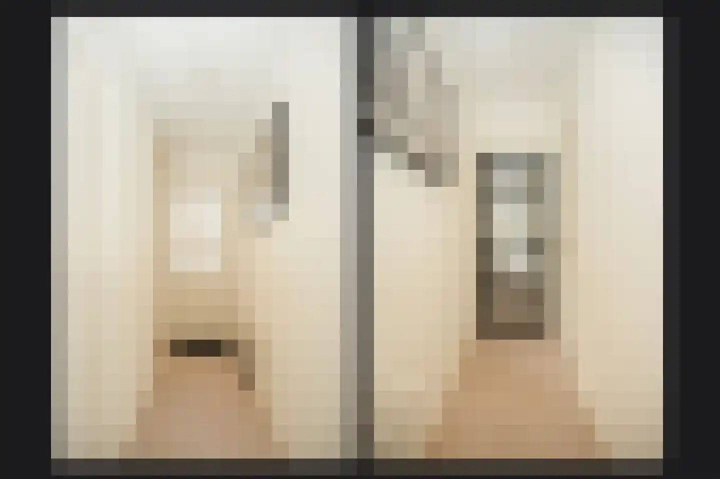 Oud Munsterstraat 9 Kerkdriel thumbnail 5
