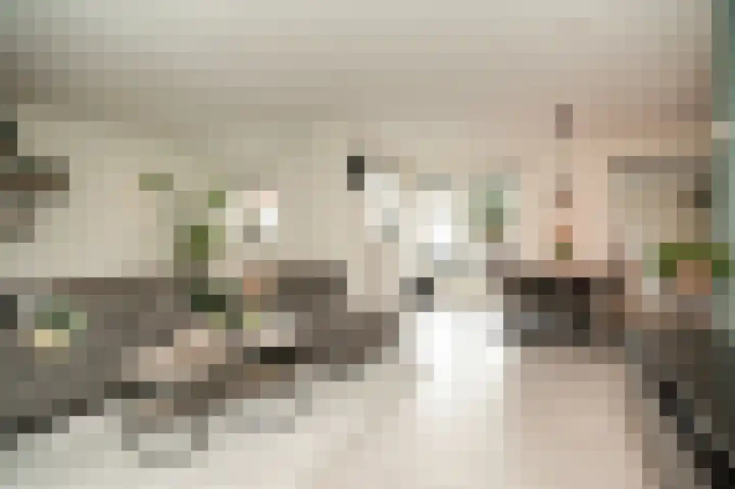 Oud Munsterstraat 9 Kerkdriel thumbnail 6