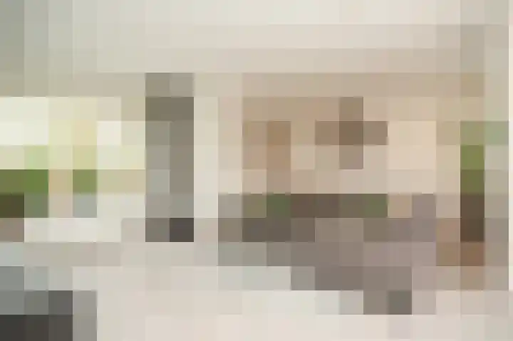Oud Munsterstraat 9 Kerkdriel thumbnail 6