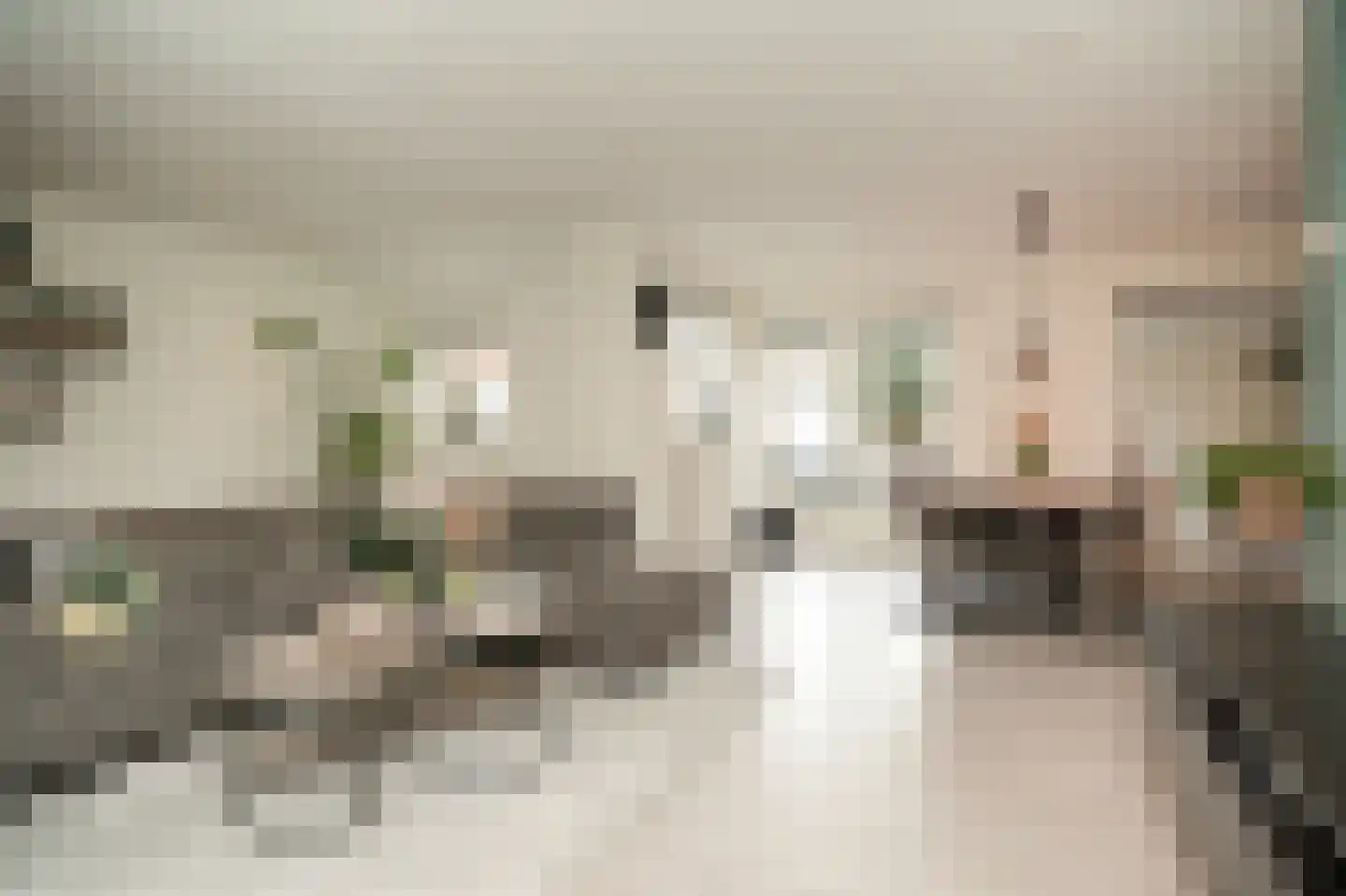 Oud Munsterstraat 9 Kerkdriel thumbnail 8