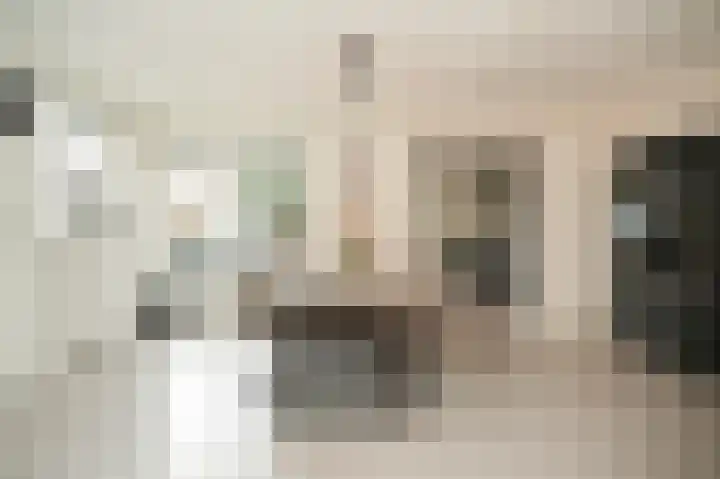 Oud Munsterstraat 9 Kerkdriel thumbnail 8