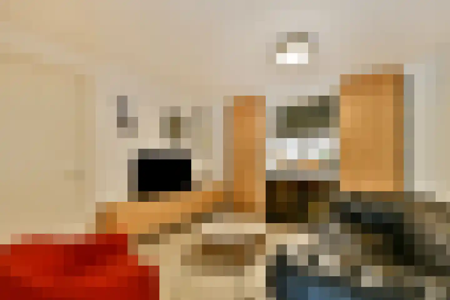 Oud Over 48 Loenen aan de Vecht thumbnail 11
