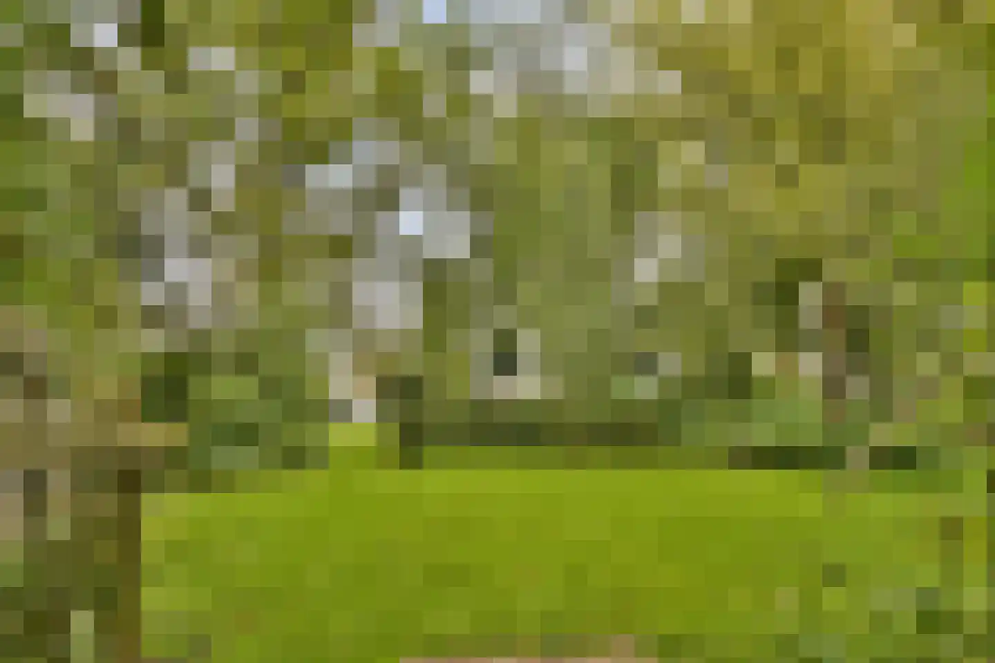 Oud Over 48 Loenen aan de Vecht thumbnail 36