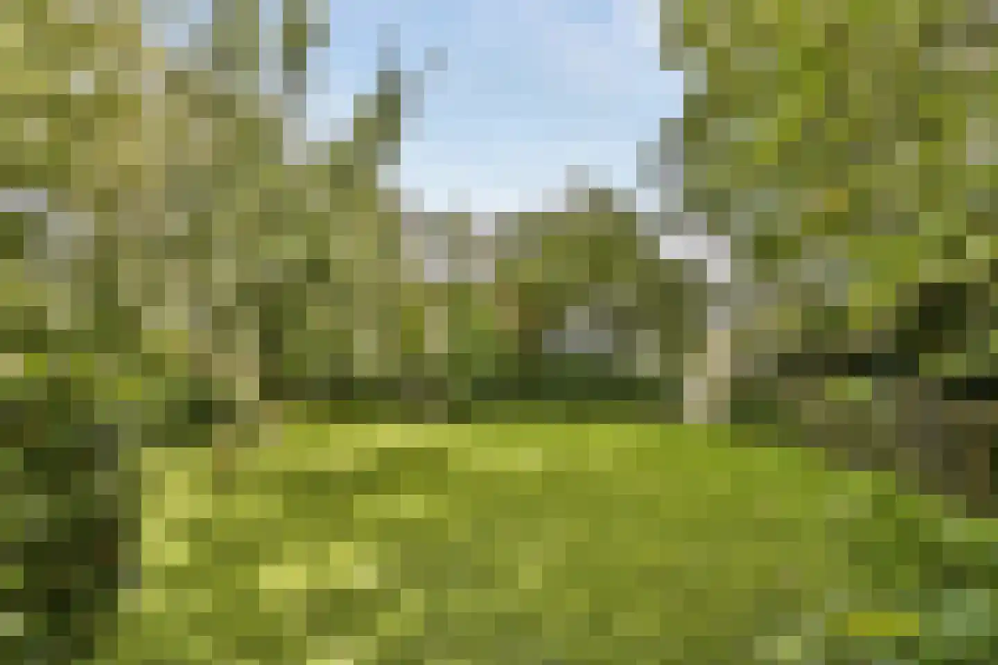 Oud Over 48 Loenen aan de Vecht thumbnail 38