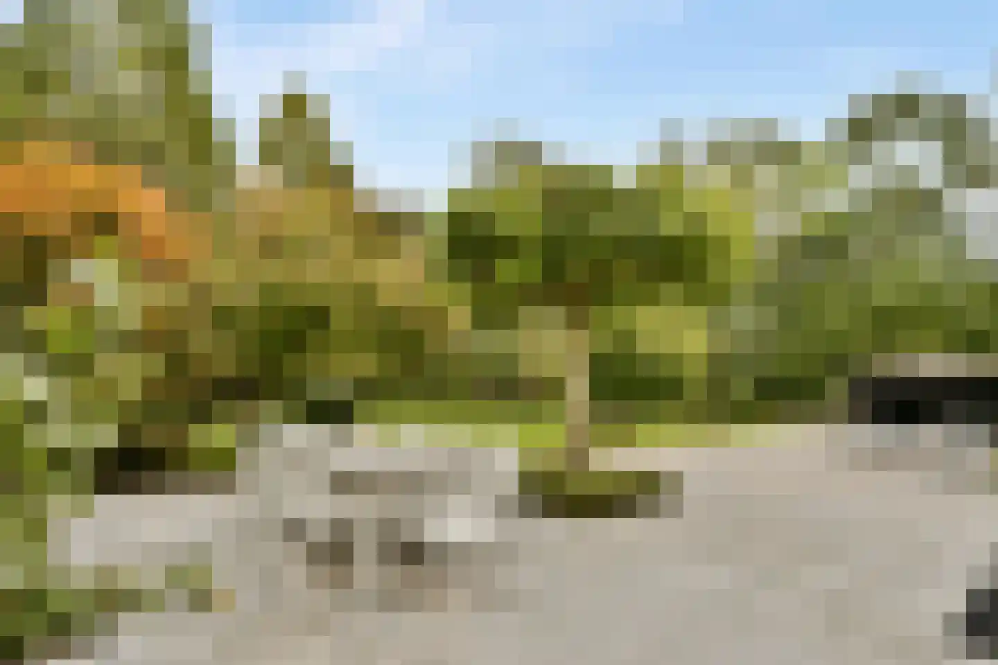 Oud Over 48 Loenen aan de Vecht thumbnail 5