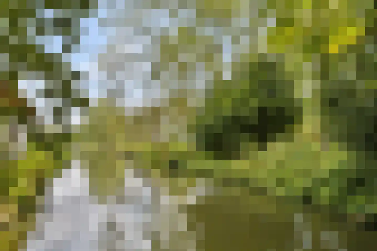 Oud Over 48 Loenen aan de Vecht thumbnail 6