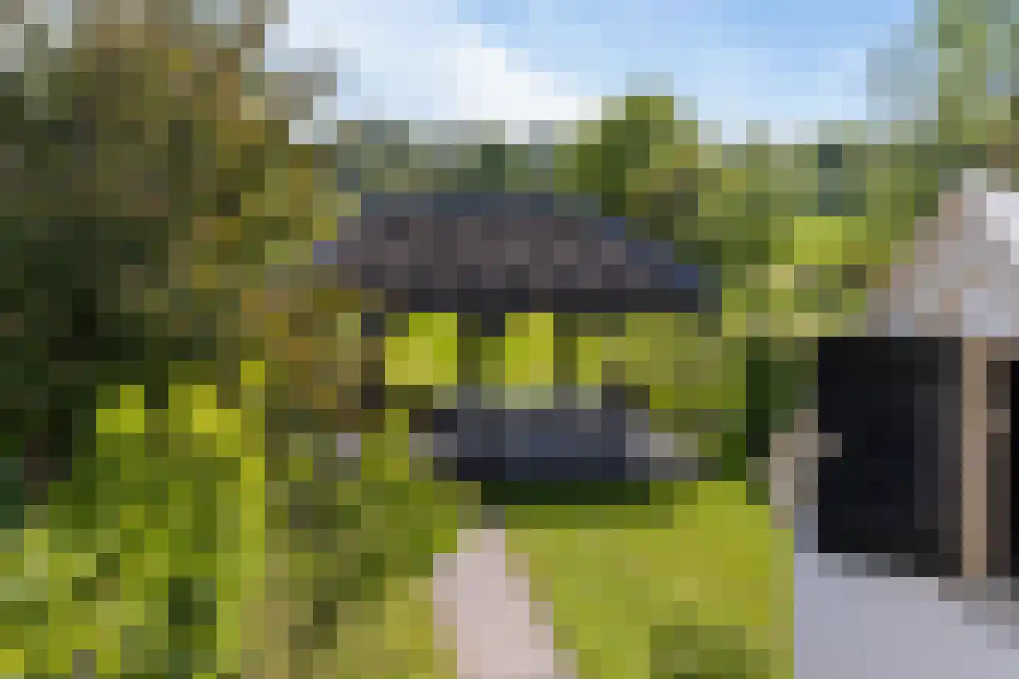 Oud Over 58 Loenen aan de Vecht thumbnail 34