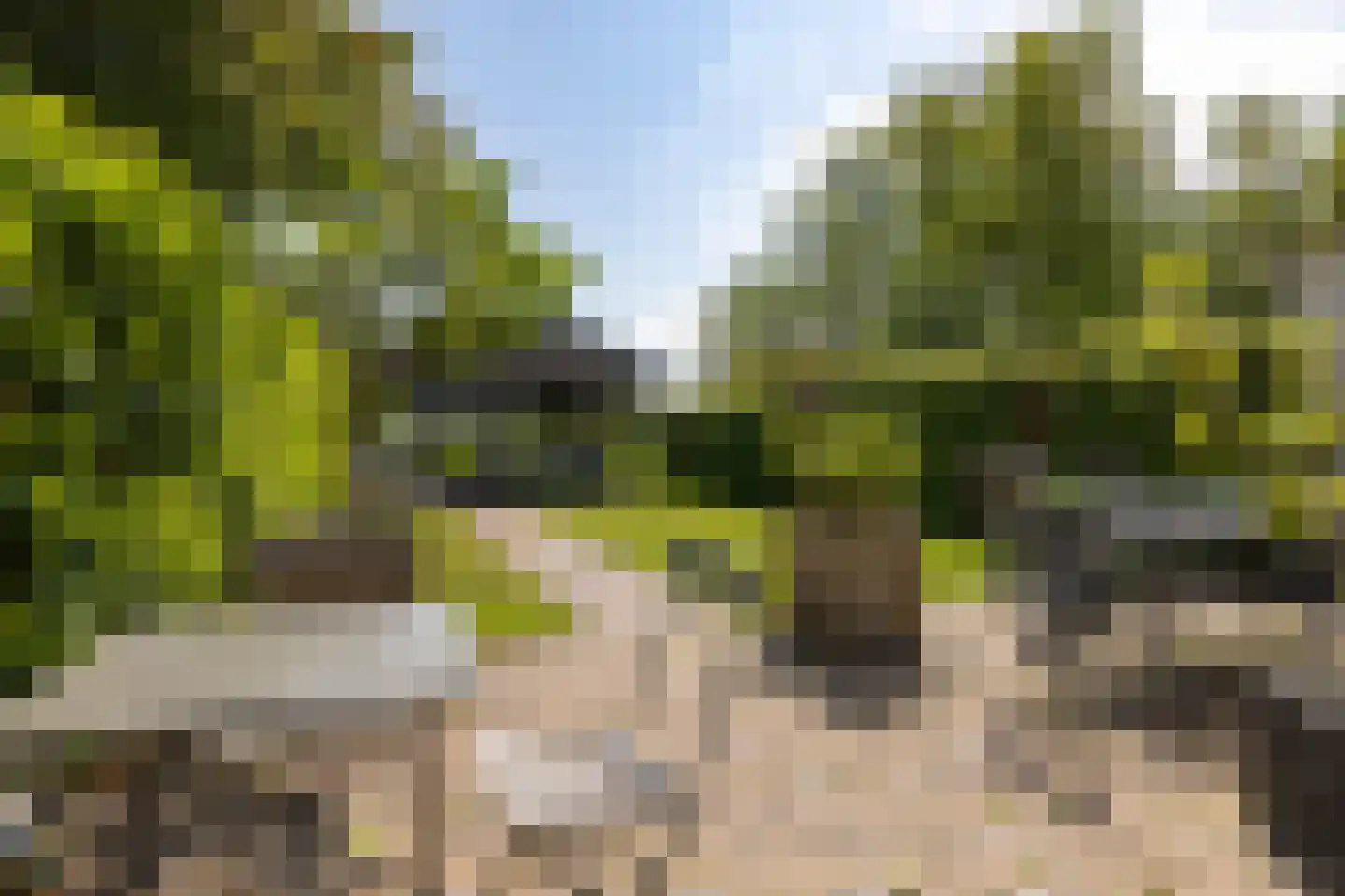 Oud Over 58 Loenen aan de Vecht thumbnail 35