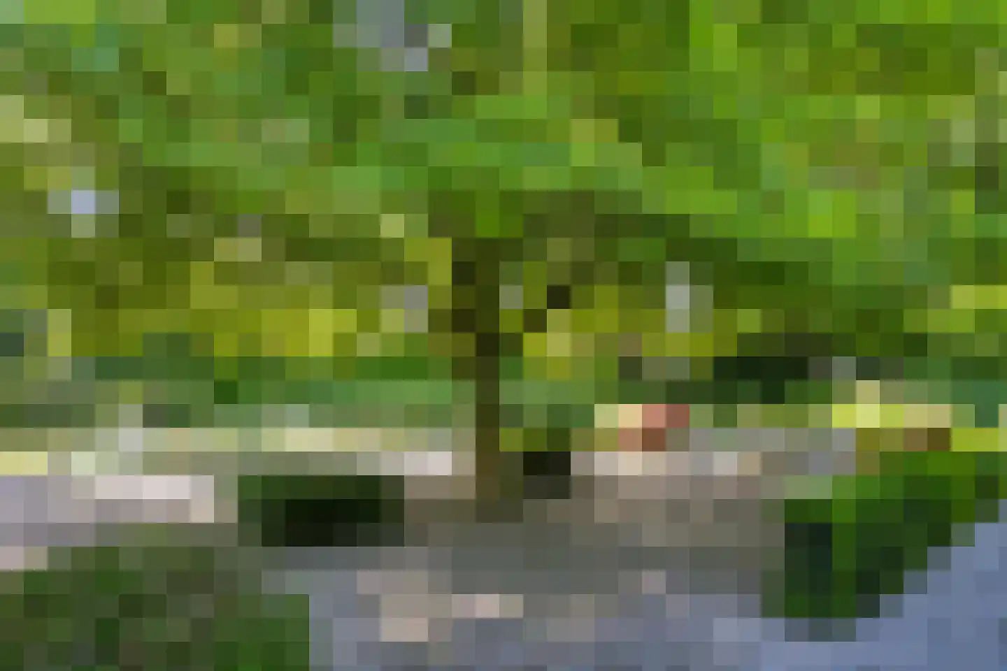 Oud Over 6 Loenen aan de Vecht thumbnail 8