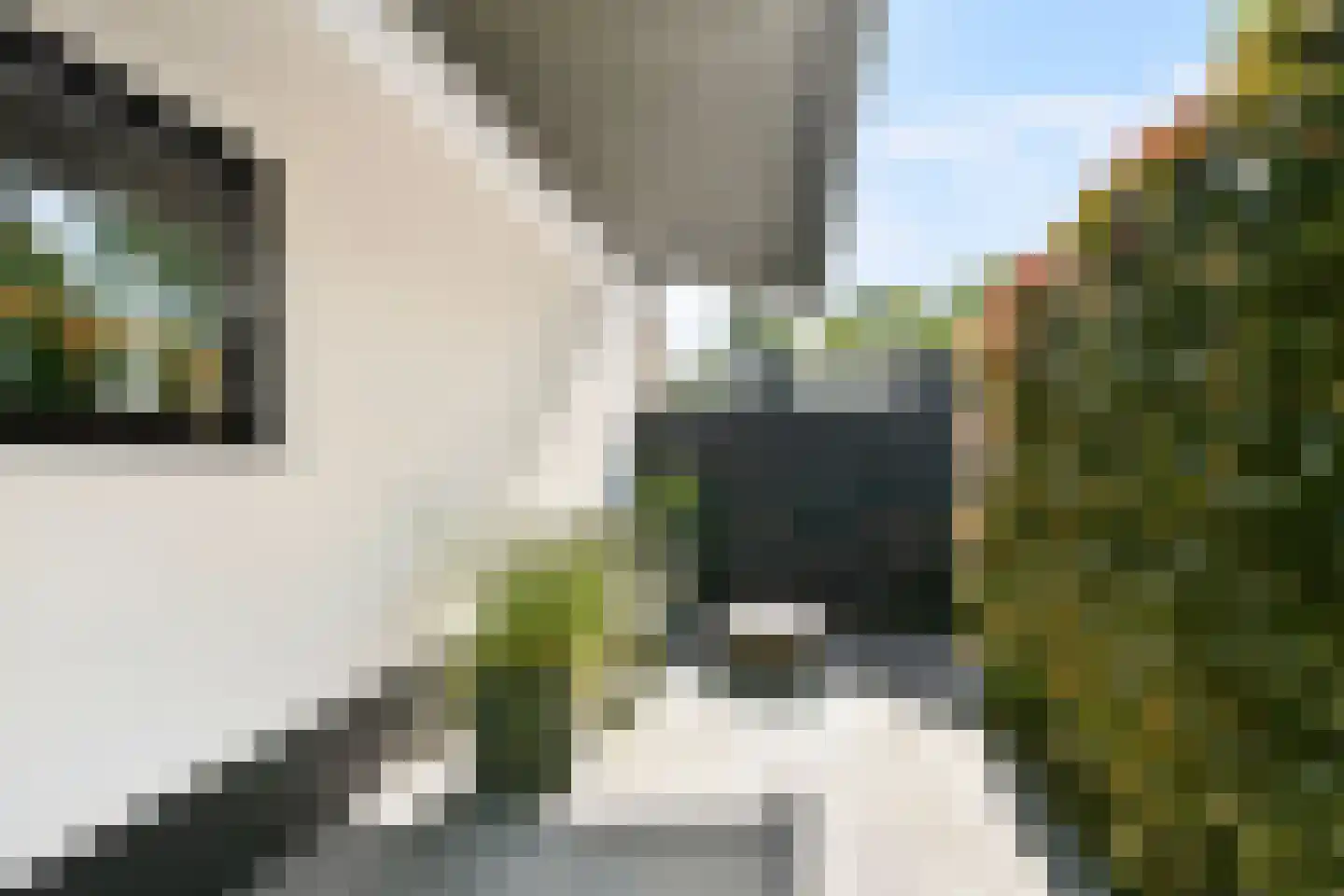 Oud Over 65 Loenen aan de Vecht thumbnail 29