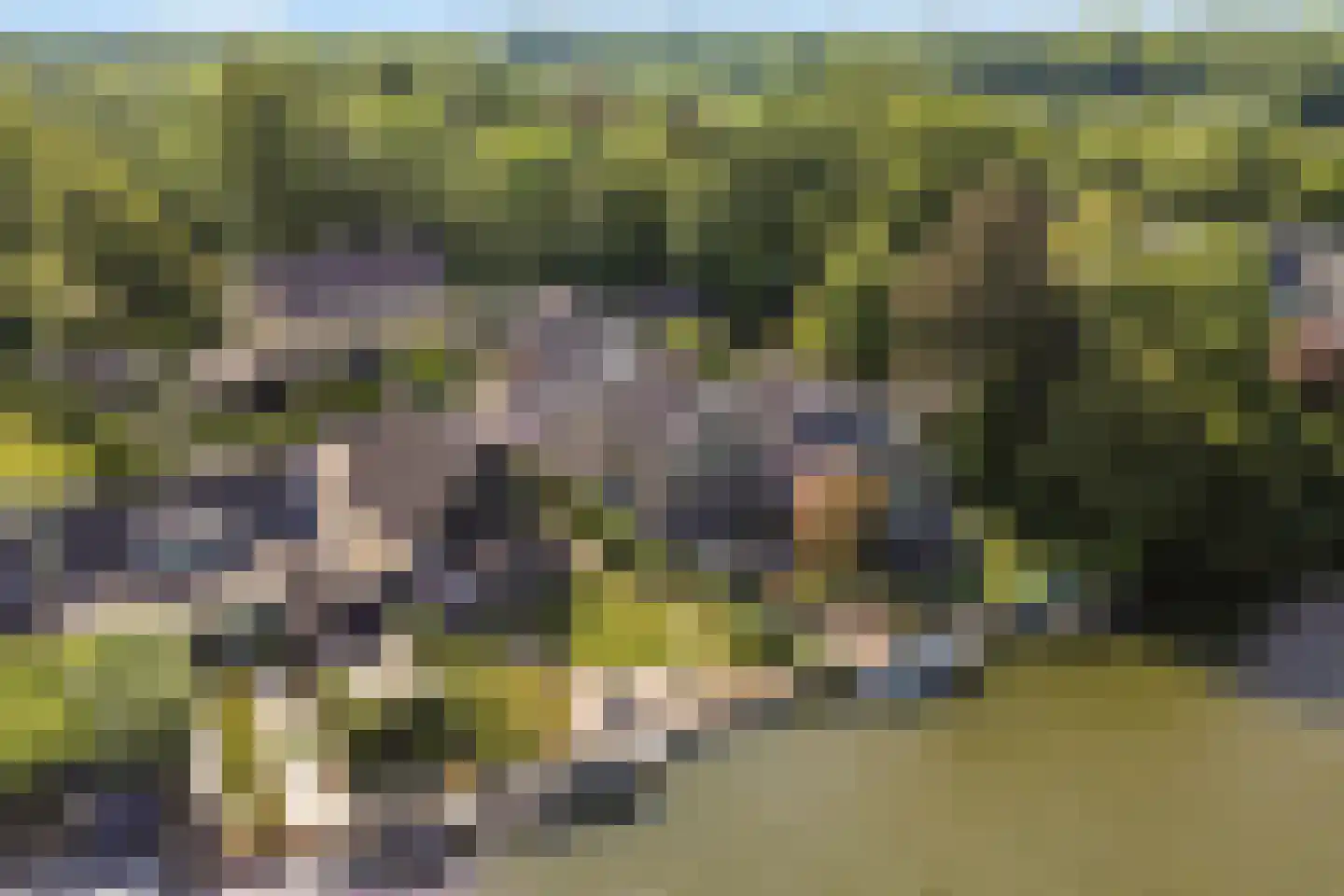 Oud Over 65 Loenen aan de Vecht thumbnail 30