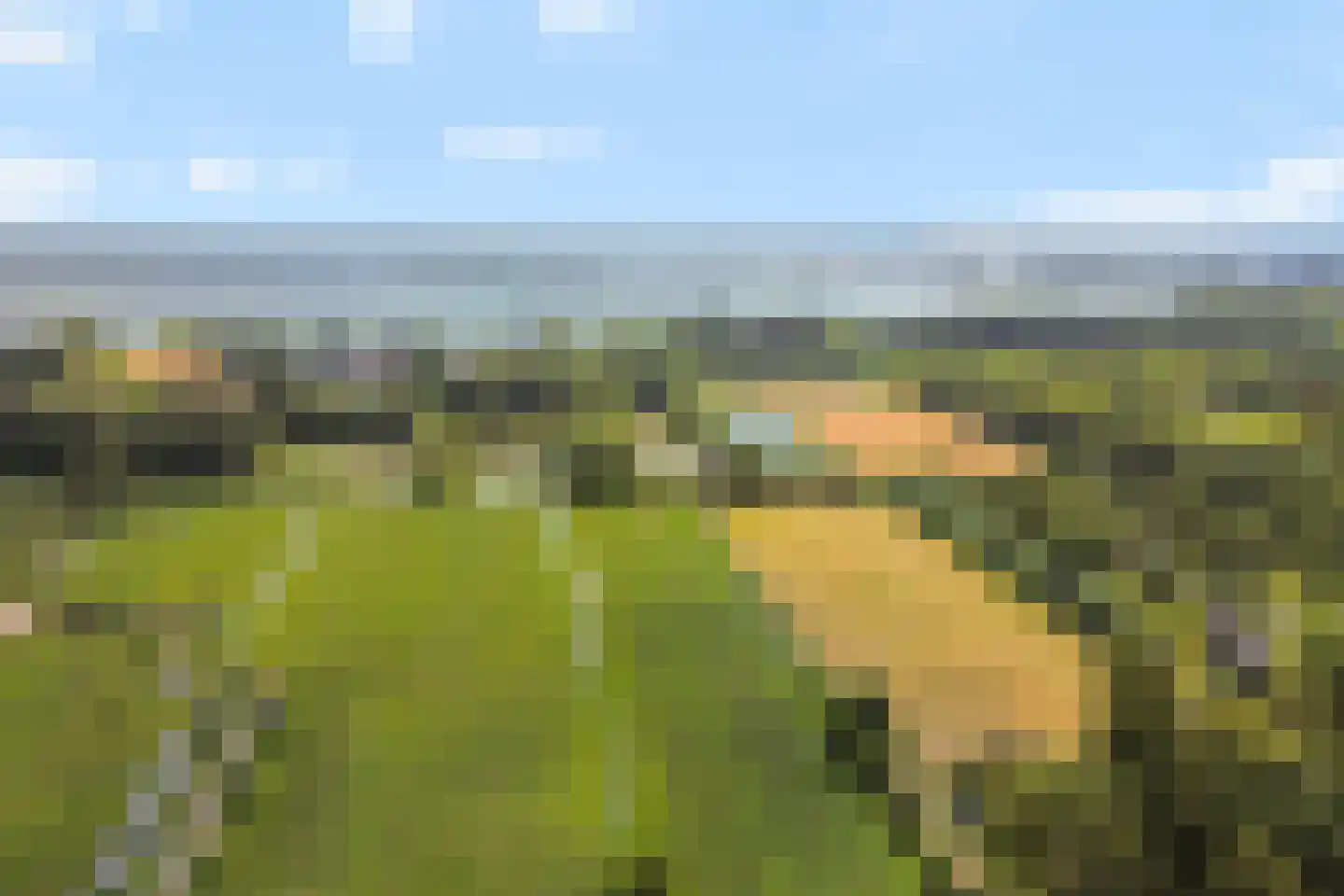 Oud Over 65 Loenen aan de Vecht thumbnail 33