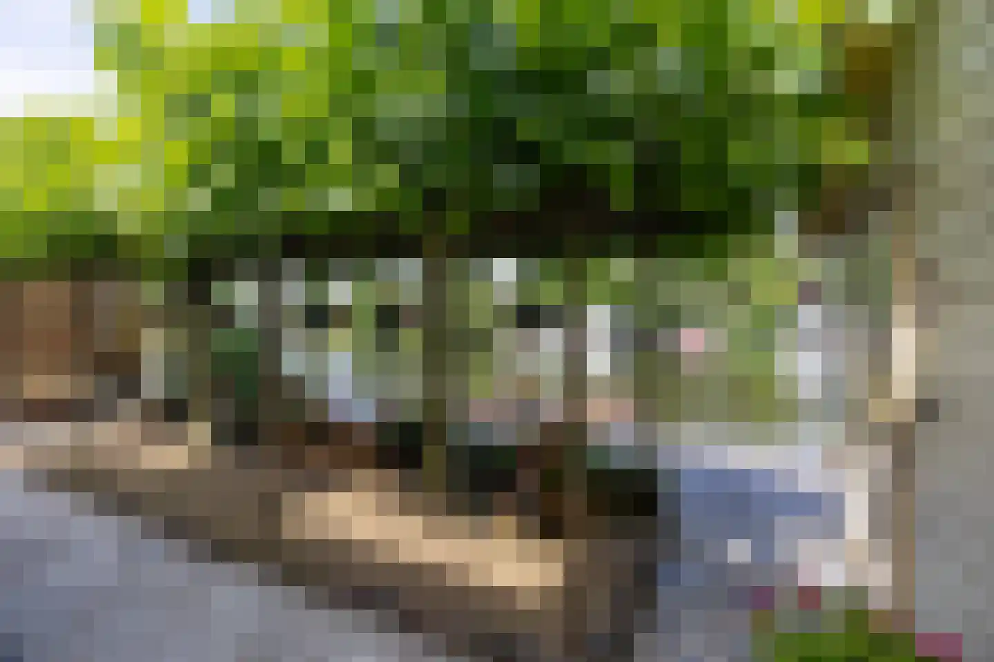Oud Over 95 Loenen aan de Vecht thumbnail 31