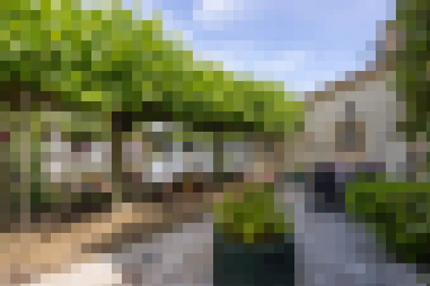 Oud Over 95 Loenen aan de Vecht thumbnail 32