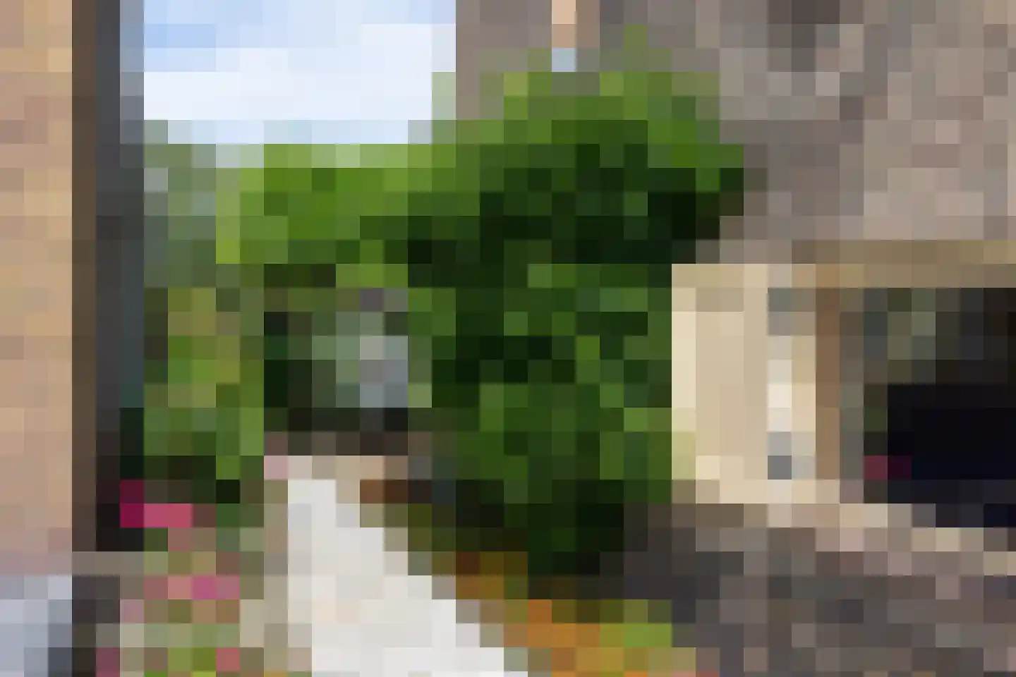 Oud Over 95 Loenen aan de Vecht thumbnail 6