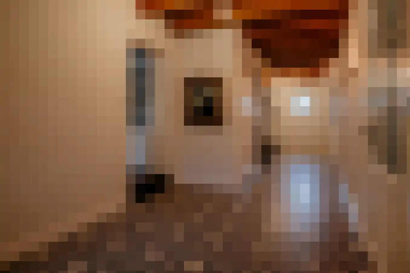 Oud Ovezandseweg 30 Ovezande thumbnail 12