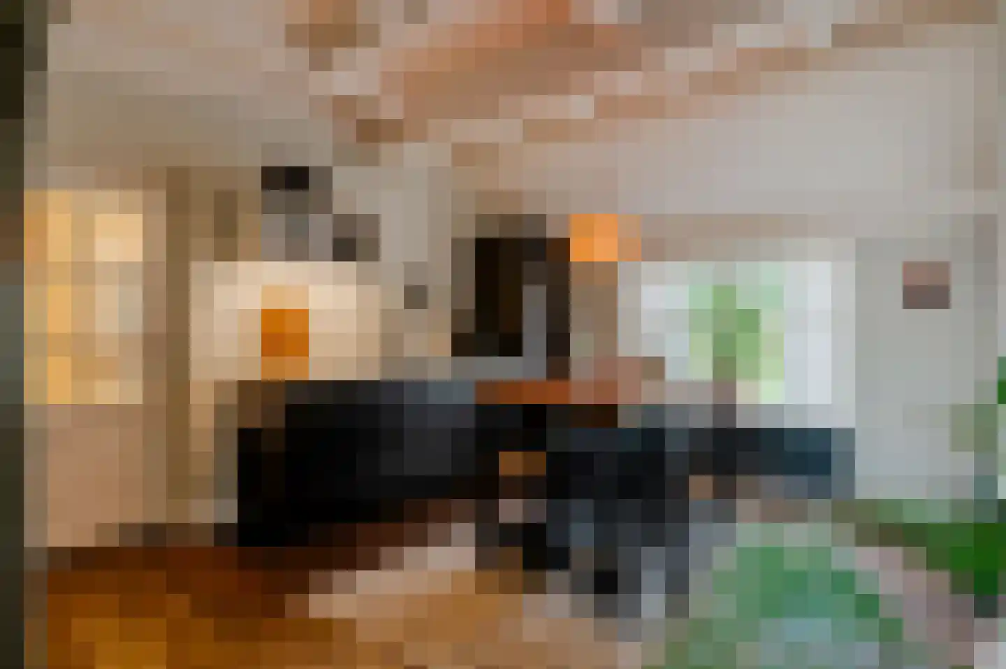 Oud Ovezandseweg 30 Ovezande thumbnail 13