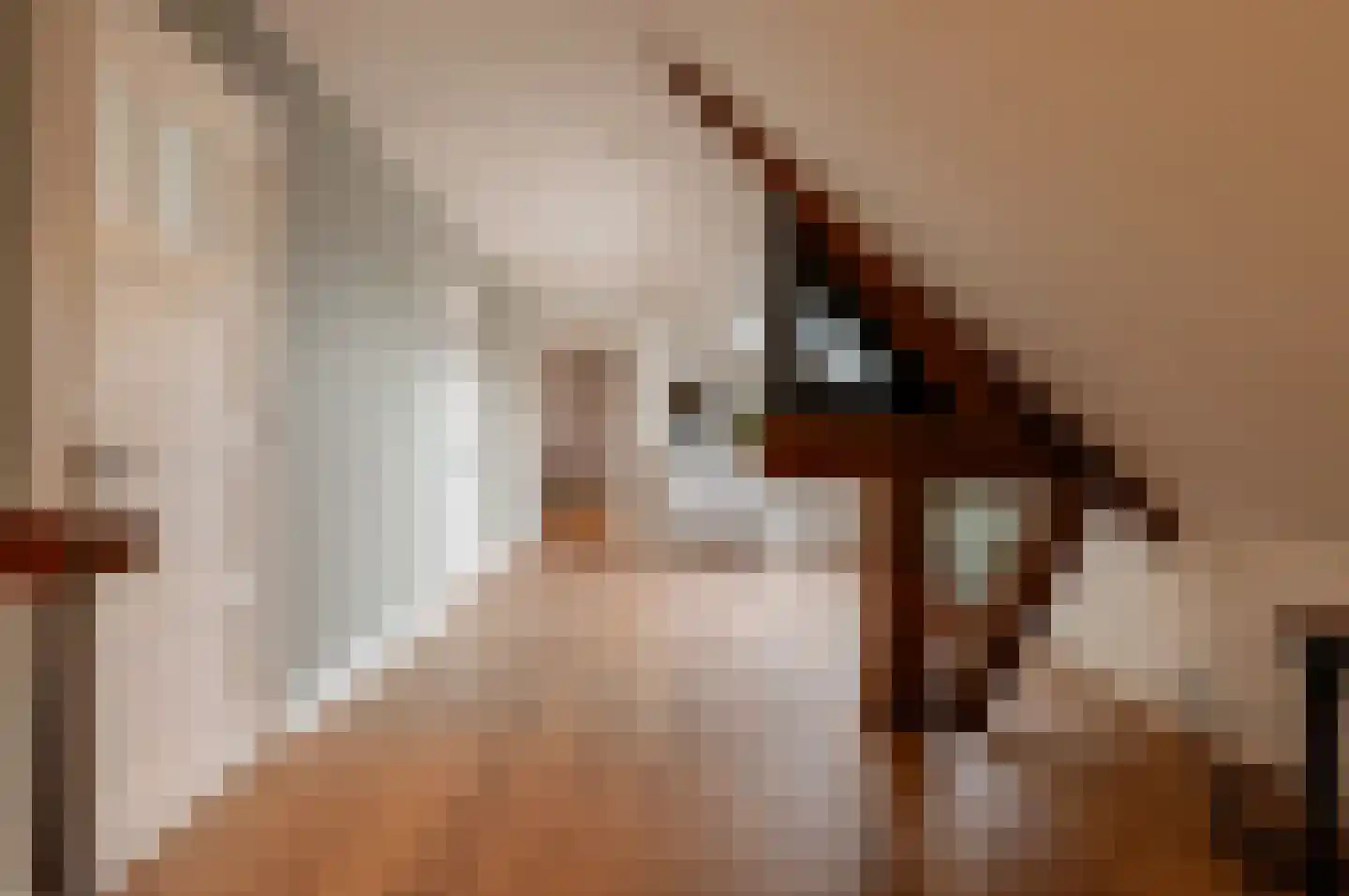 Oud Ovezandseweg 30 Ovezande thumbnail 20