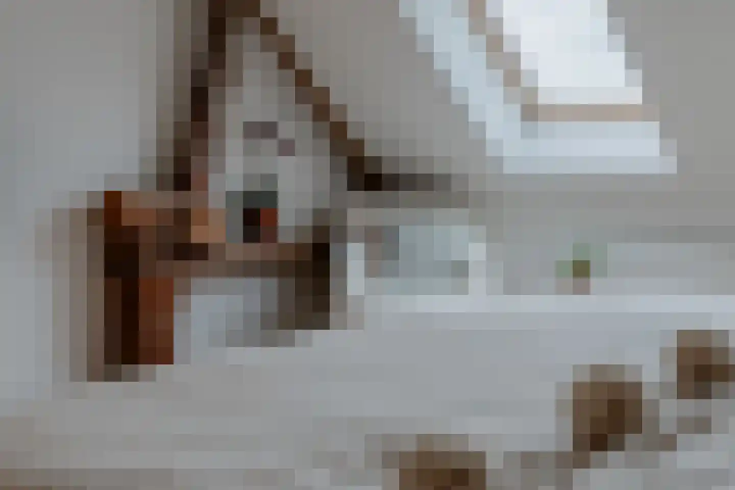 Oud Ovezandseweg 30 Ovezande thumbnail 22