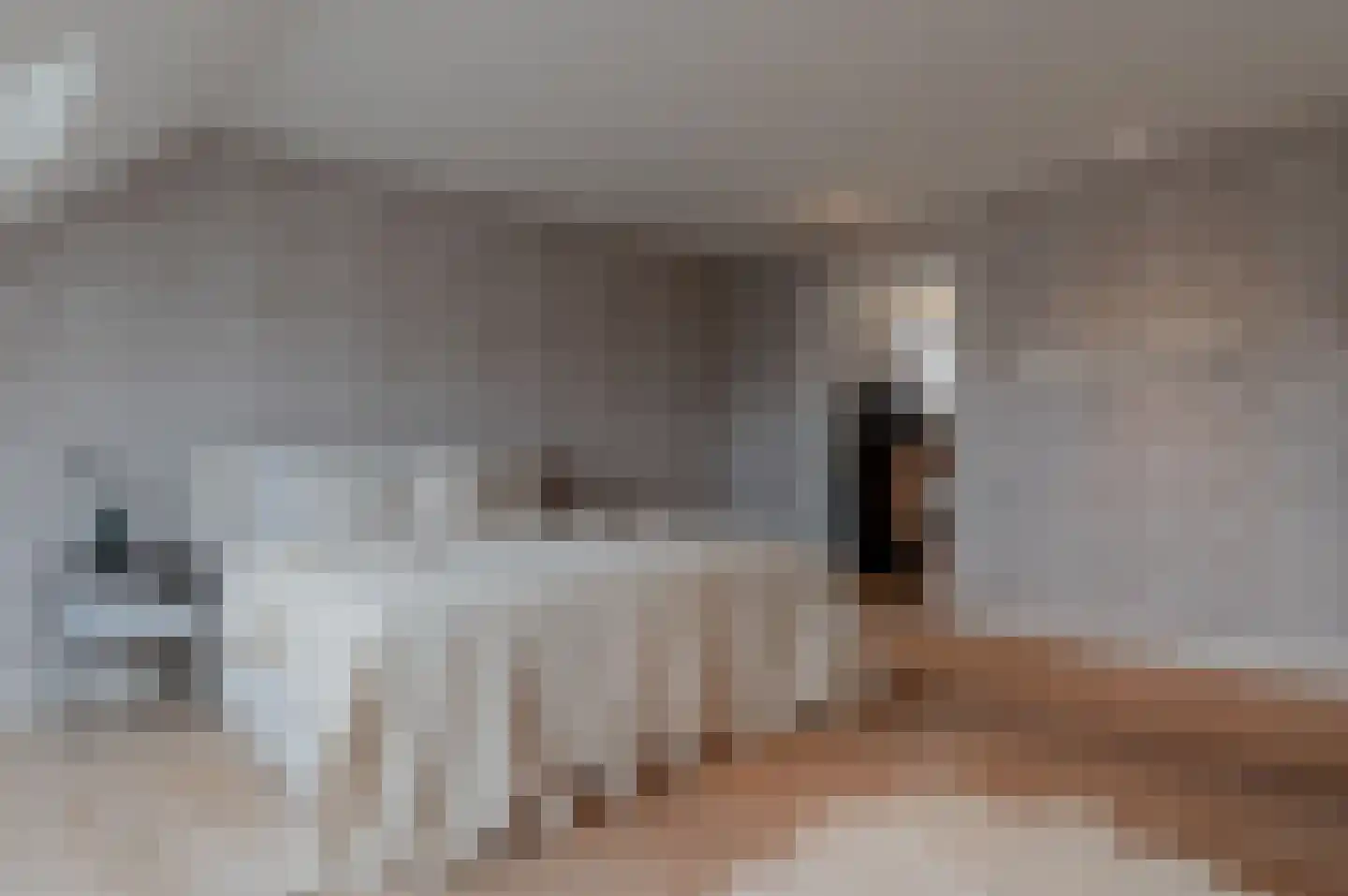 Oud Ovezandseweg 30 Ovezande thumbnail 23