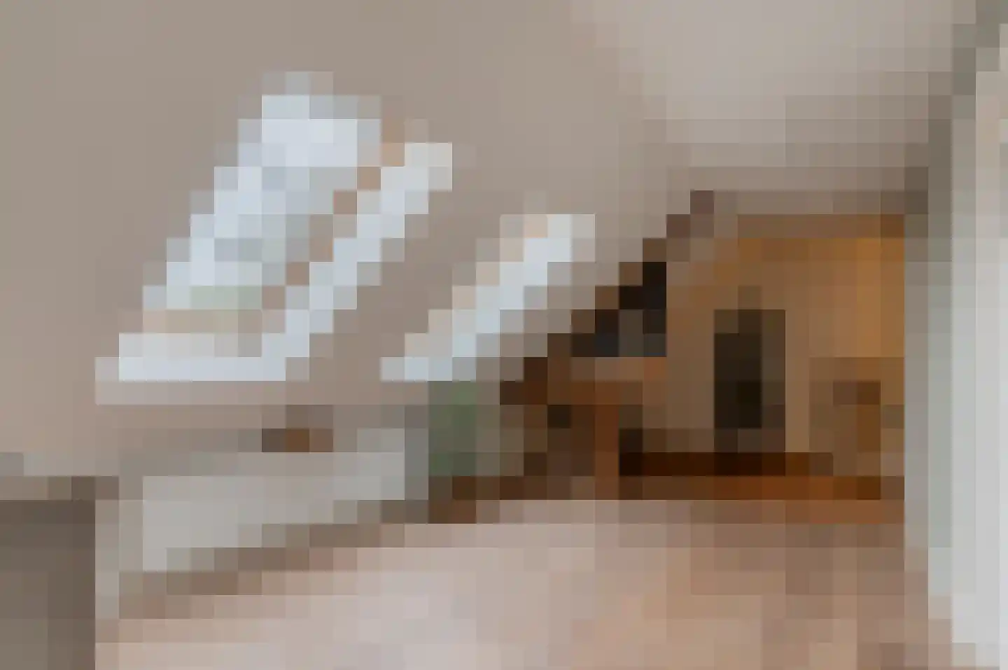 Oud Ovezandseweg 30 Ovezande thumbnail 29