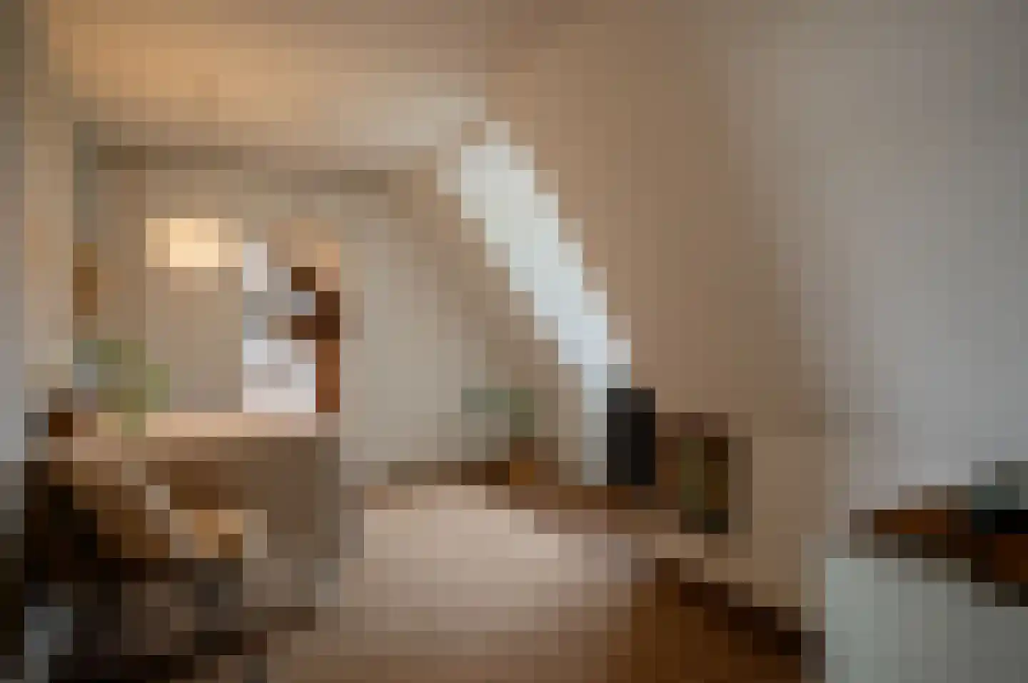 Oud Ovezandseweg 30 Ovezande thumbnail 33