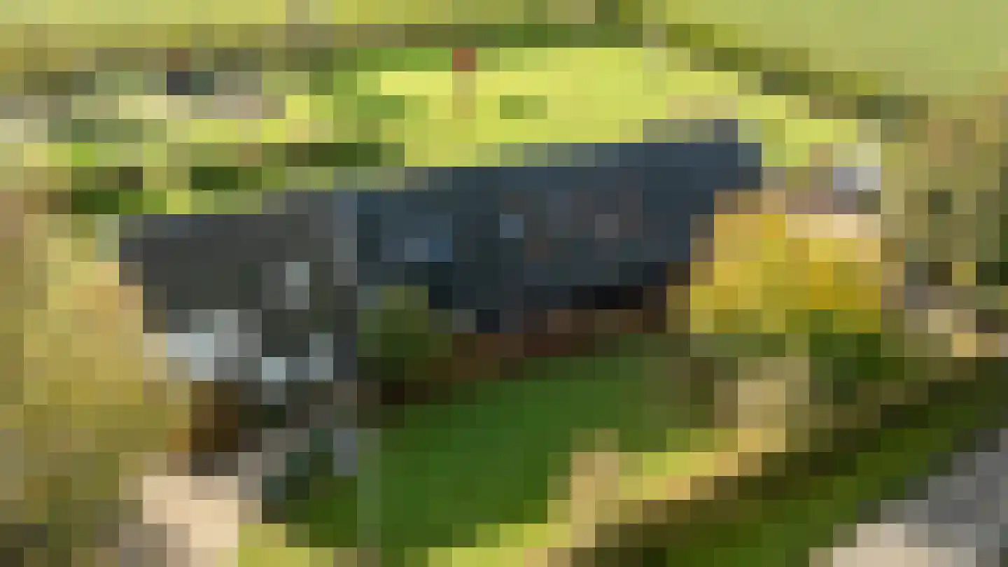 Oud Ovezandseweg 30 Ovezande thumbnail 34