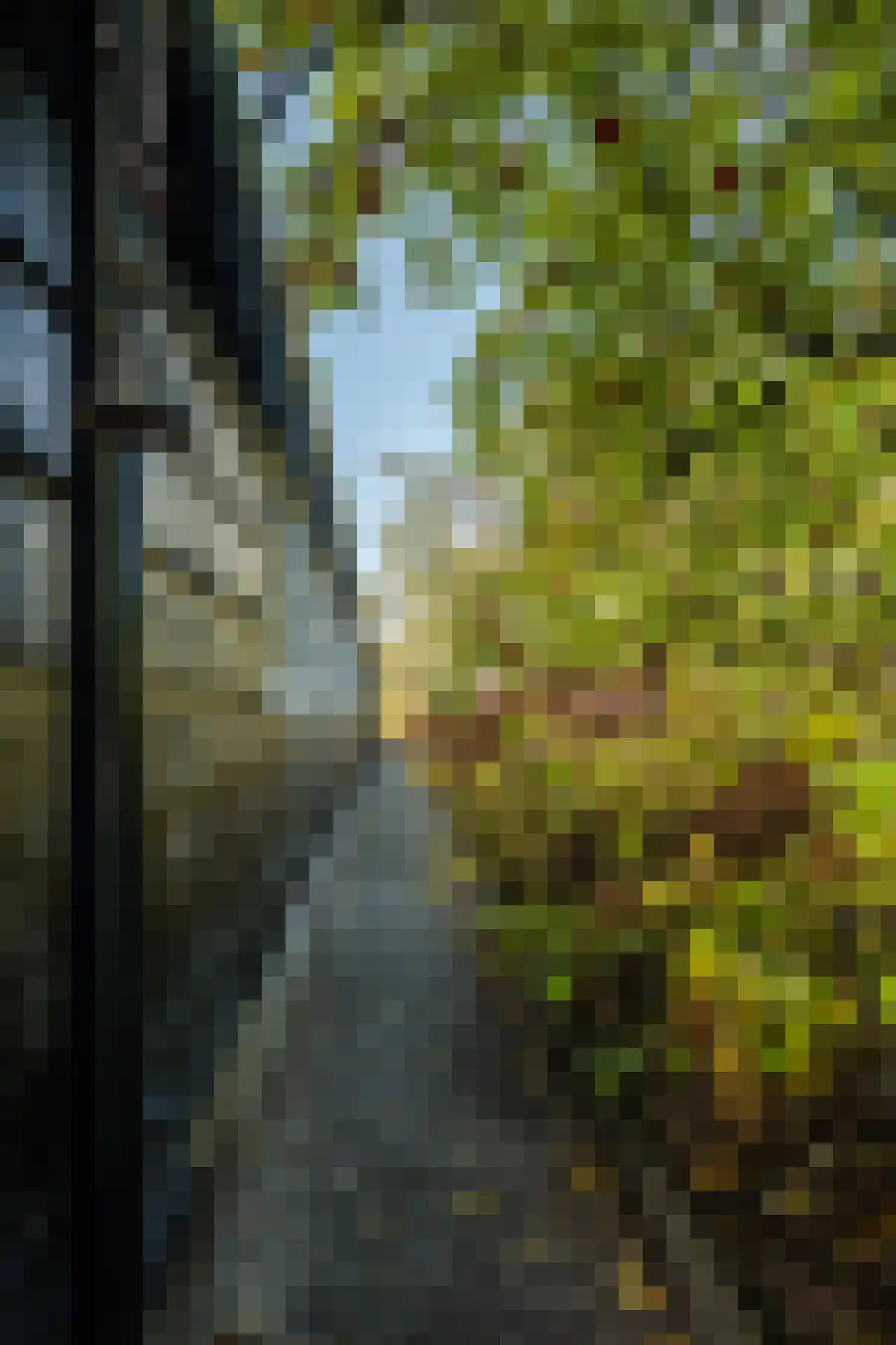 Oud Ovezandseweg 30 Ovezande thumbnail 35