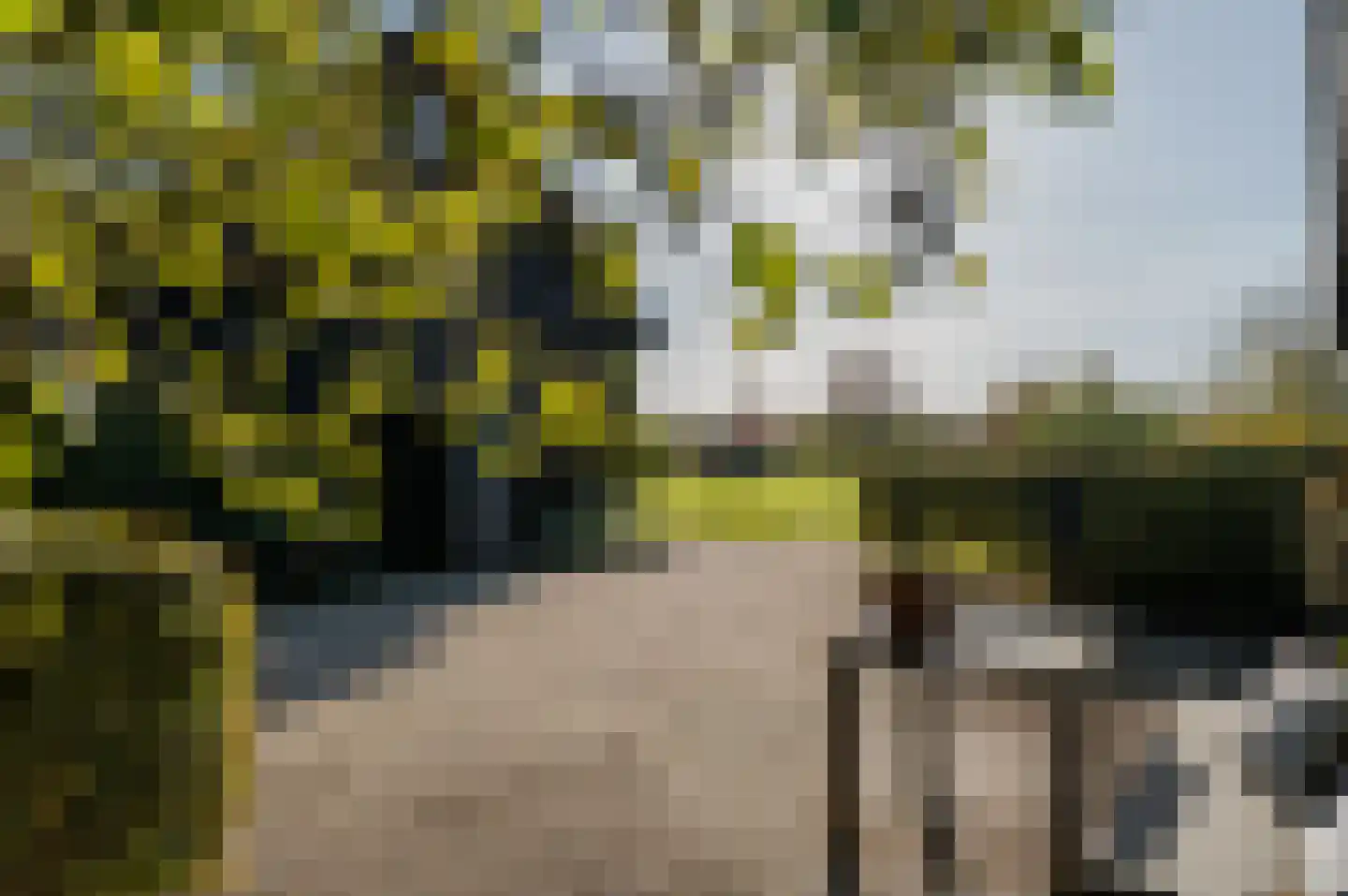 Oud Ovezandseweg 30 Ovezande thumbnail 38