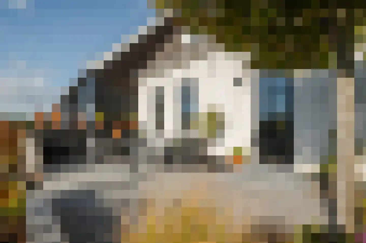 Oud Ovezandseweg 30 Ovezande thumbnail 47