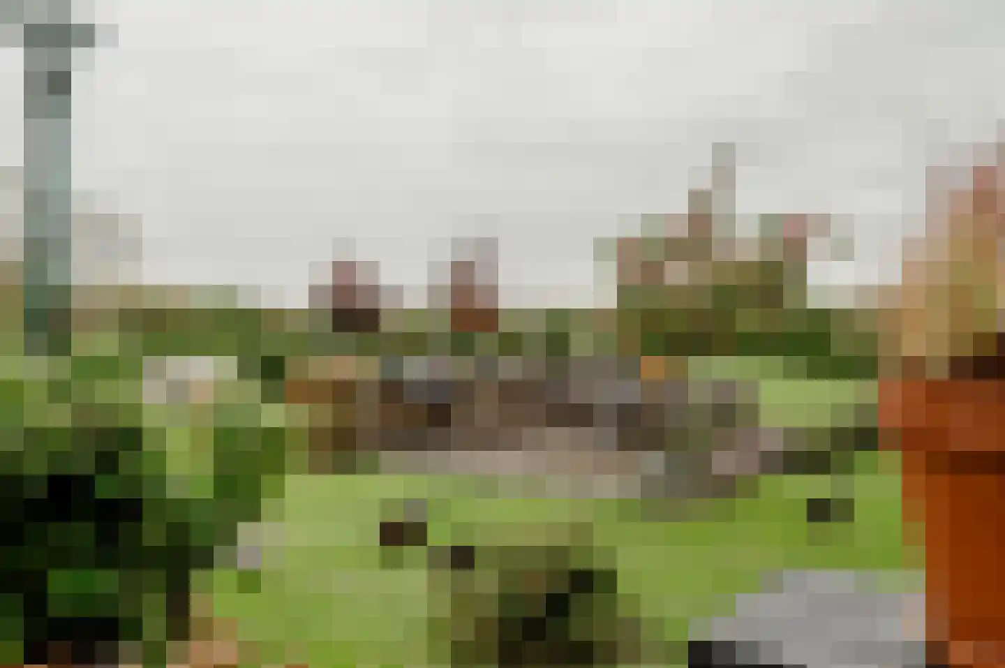 Oud Ovezandseweg 30 Ovezande thumbnail 5