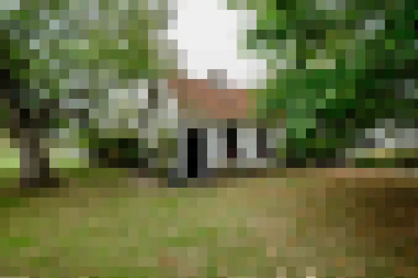 Oud Ovezandseweg 30 Ovezande thumbnail 50