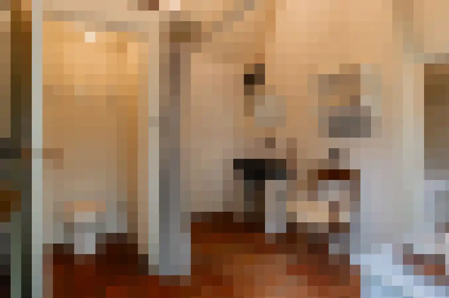 Oud Ovezandseweg 30 Ovezande thumbnail 51