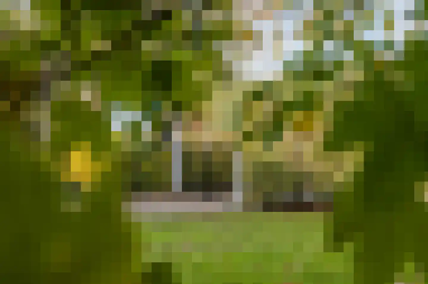Oud Ovezandseweg 30 Ovezande thumbnail 53