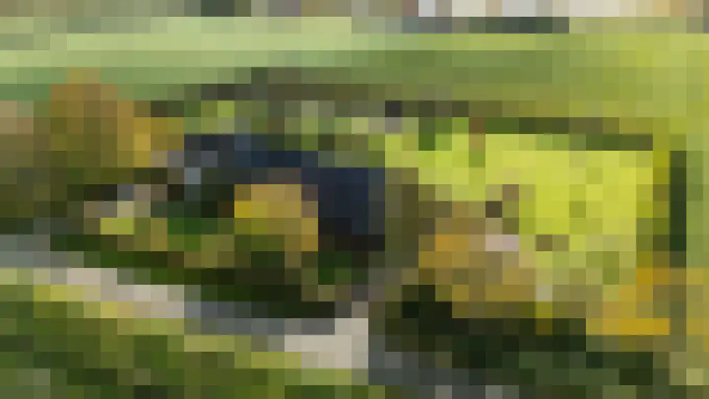 Oud Ovezandseweg 30 Ovezande thumbnail 54