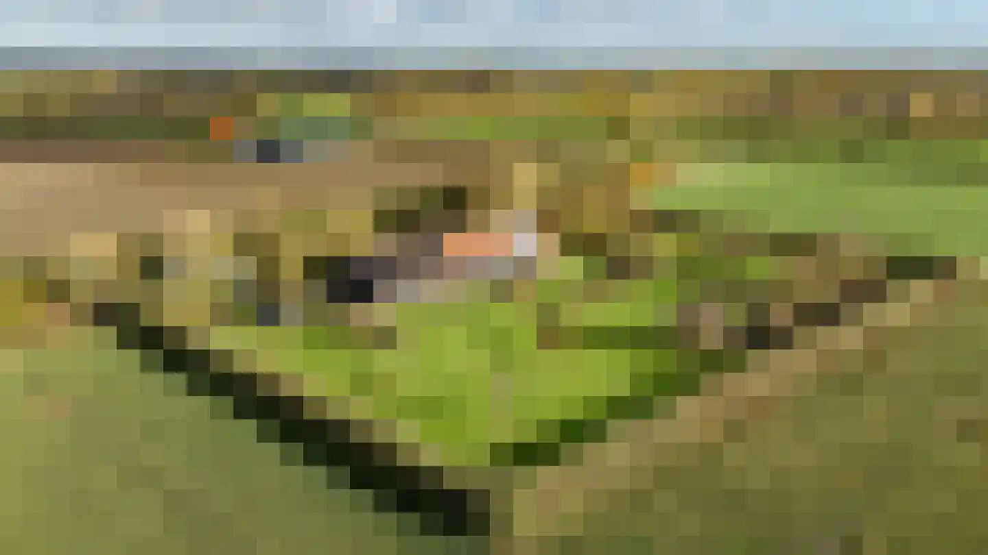 Oud Ovezandseweg 30 Ovezande thumbnail 55