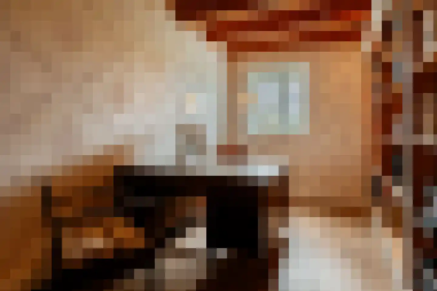 Oud Ovezandseweg 30 Ovezande thumbnail 6