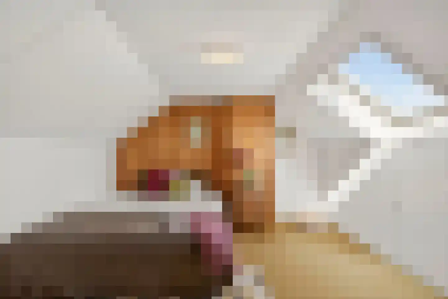 Oud-Ravensteinseweg 8 Wijchen thumbnail 23