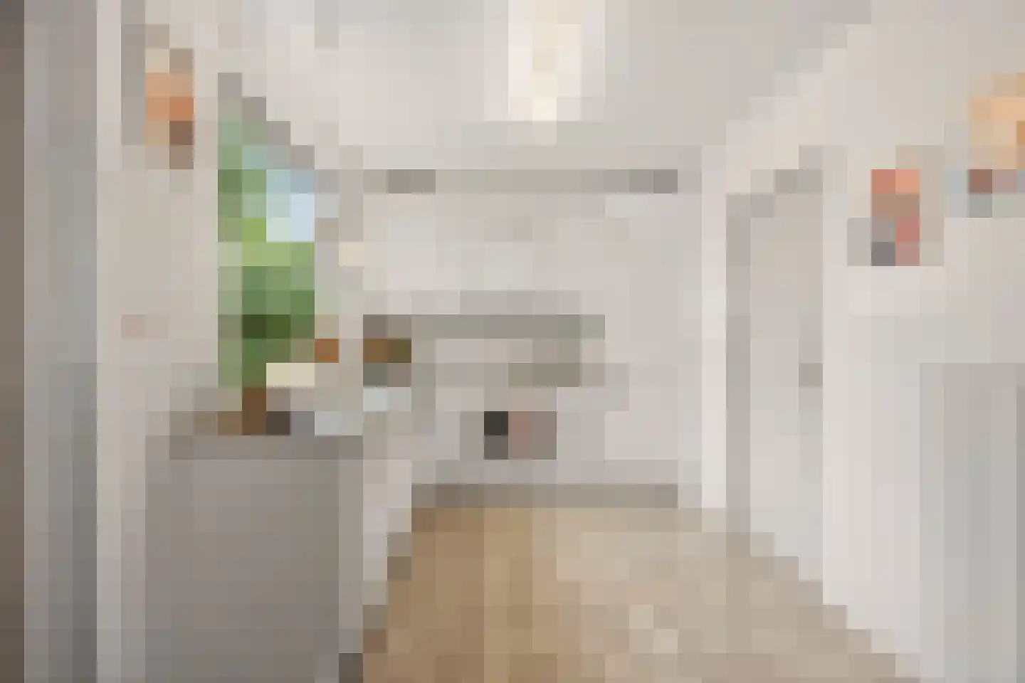 Oud-Ravensteinseweg 8 Wijchen thumbnail 8