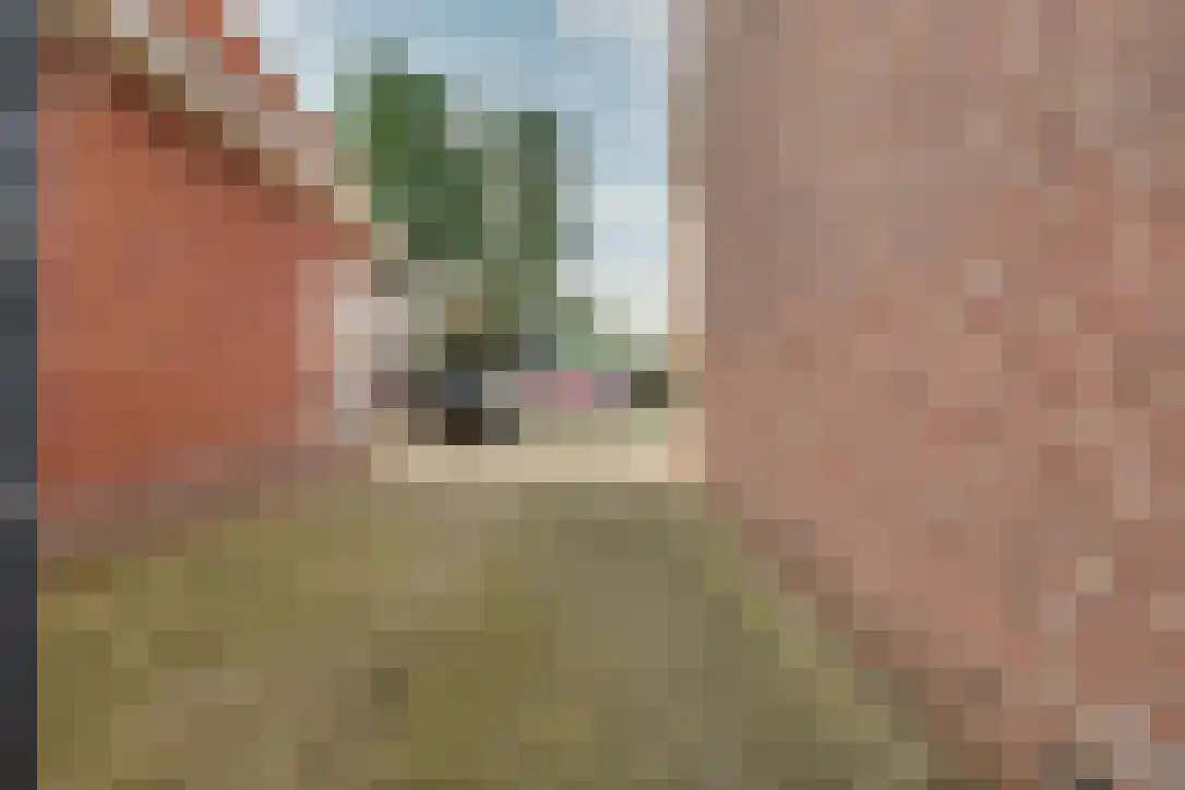 Oud Schaik 25 Leerdam thumbnail 44