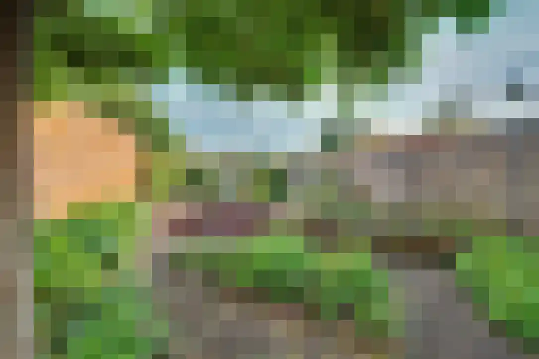 Oud Schaik 25 Leerdam thumbnail 6