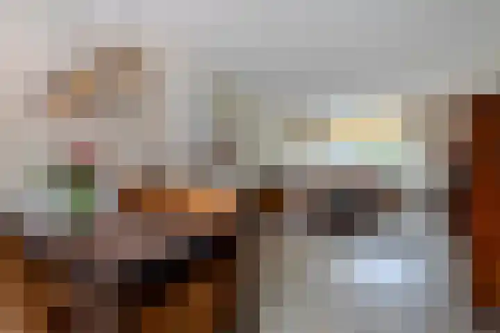 Oud Schaik 34 Leerdam thumbnail 13